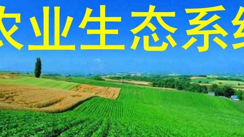 生鲜农产品B2B平台对比