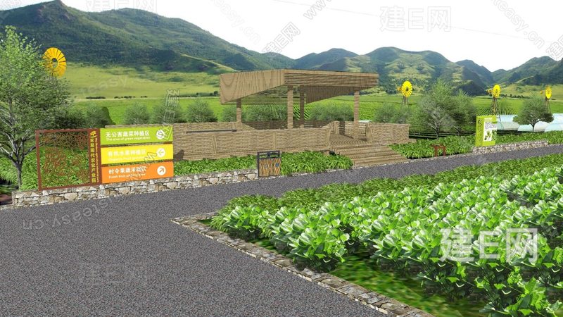 果园生物防治：绿色防控的关键步骤与注意事项