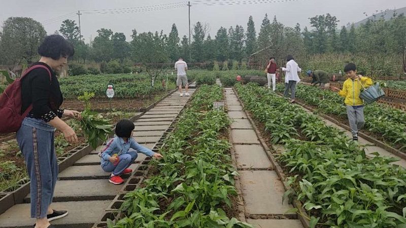 农村农产品批发创业，如何抓住市场脉搏？**