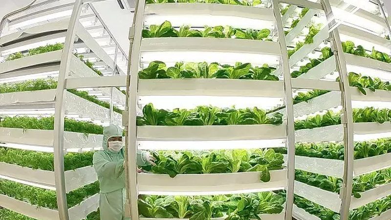生态循环农业：揭秘公司排名背后的考量因素