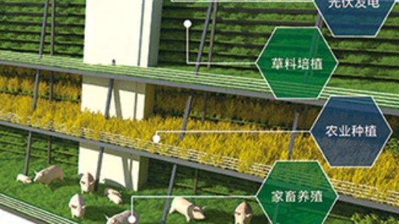 绿色食品加盟需要什么资质