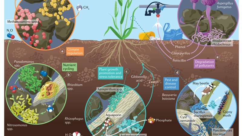 有机农业种植技术教程：视频下载指南**
