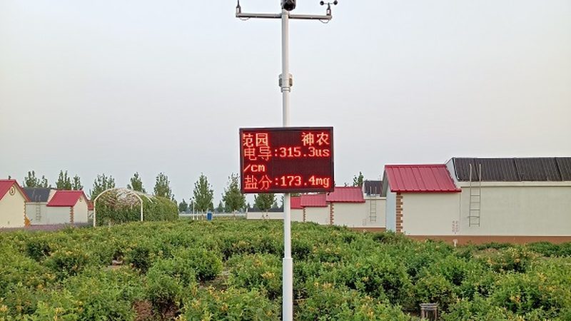 水果种植合作社投资回报周期解析